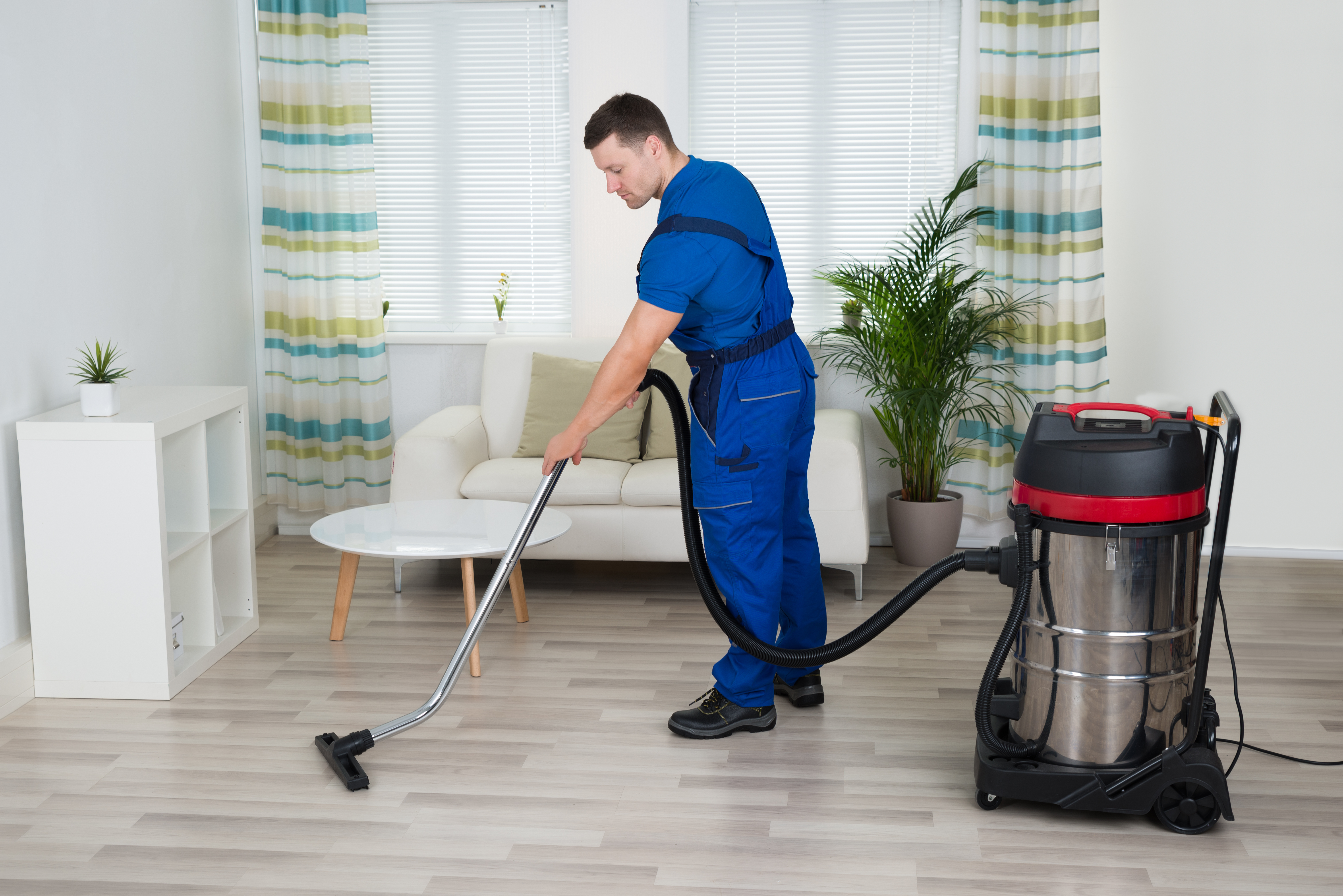 How Much Money Do Carpet Cleaning Companies Make